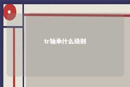 tr轴承什么级别 